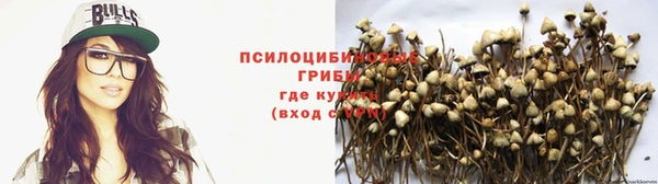 mdpv Баксан