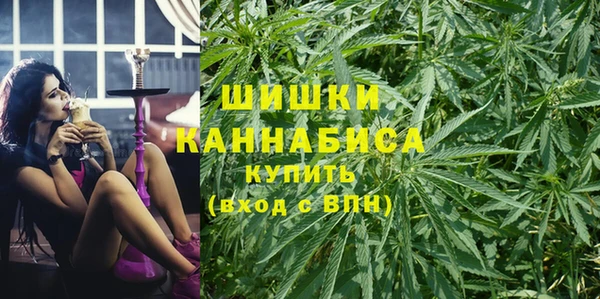 дмт Семилуки