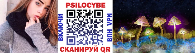 продажа наркотиков  Карабулак  Галлюциногенные грибы GOLDEN TEACHER 
